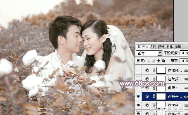 Photoshop为玫瑰园婚照调制出蓝紫中性色14