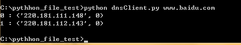 python实现域名系统(DNS)正向查询的方法1