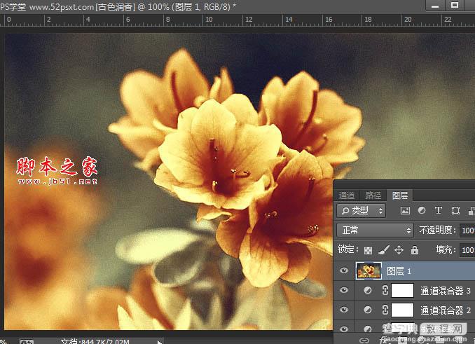 Photoshop将花卉特写图片打造具有古典韵味的黄褐色效果26
