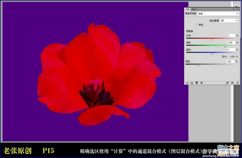 Photoshop通过计算命令无限改变花的颜色图文教程15