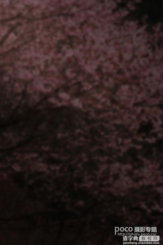 Photoshop将美女图片打造唯美的梦幻古典紫红色特效3