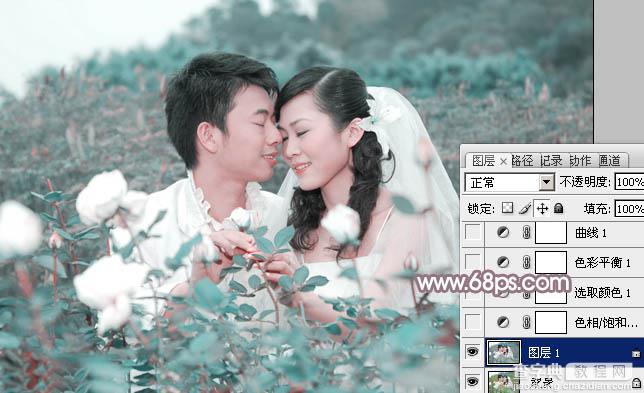 Photoshop为玫瑰园婚照调制出蓝紫中性色3