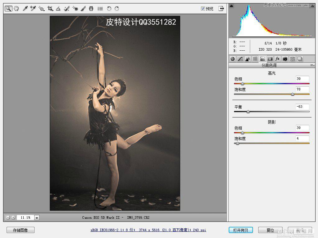 Camera Raw和Photoshop结合为偏暗美女写真照片后期精修过程7