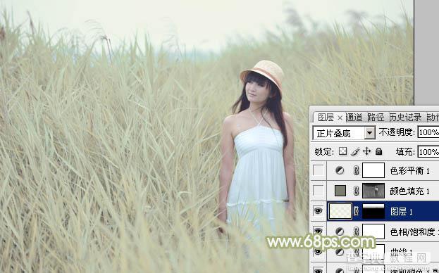 Photoshop将芦苇美女图片打造非常淡雅的冷色调12