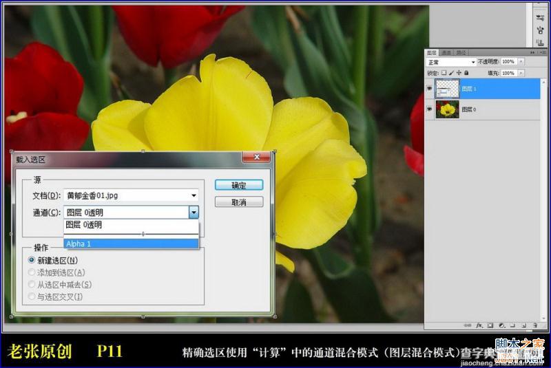 Photoshop通过计算命令无限改变花的颜色图文教程11