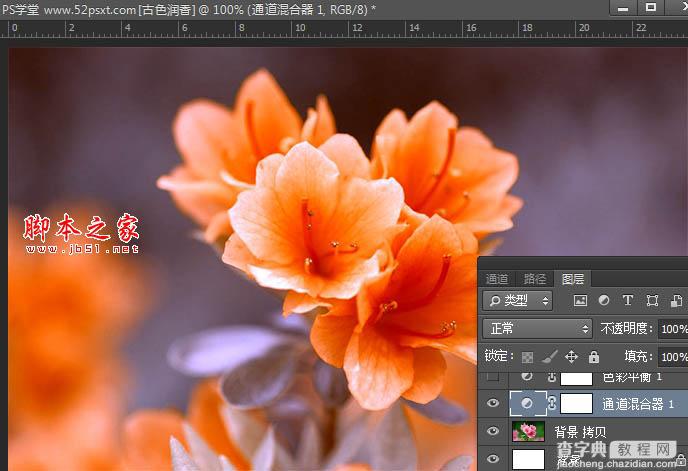 Photoshop将花卉特写图片打造具有古典韵味的黄褐色效果7