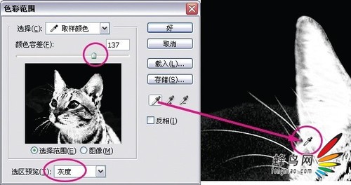 photoshop利用通道为猫咪画面选出主体8