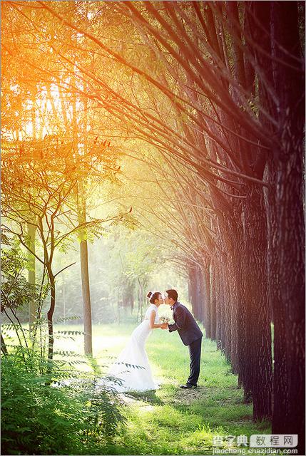 Photoshop为偏暗的树林婚片增加灿烂的阳光色彩2