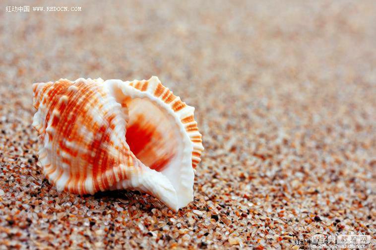 Photoshop调出诗意的沙滩贝壳14
