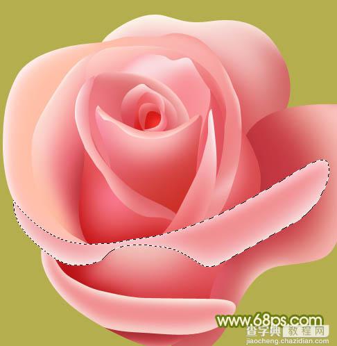 Photoshop设计制作一朵的粉嫩的玫瑰花38