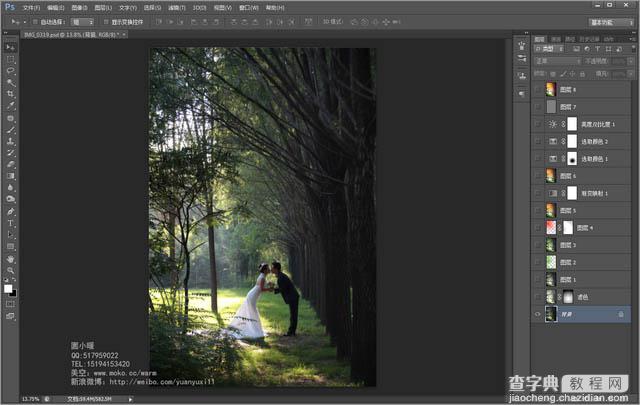 Photoshop为偏暗的树林婚片增加灿烂的阳光色彩3