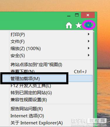 Flash Player插件在Win8.1中不能正常运行现象的解决办法介绍2