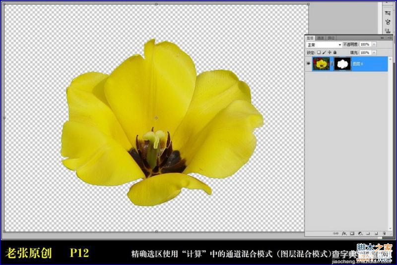 Photoshop通过计算命令无限改变花的颜色图文教程12