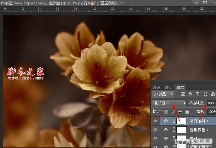 Photoshop将花卉特写图片打造具有古典韵味的黄褐色效果16