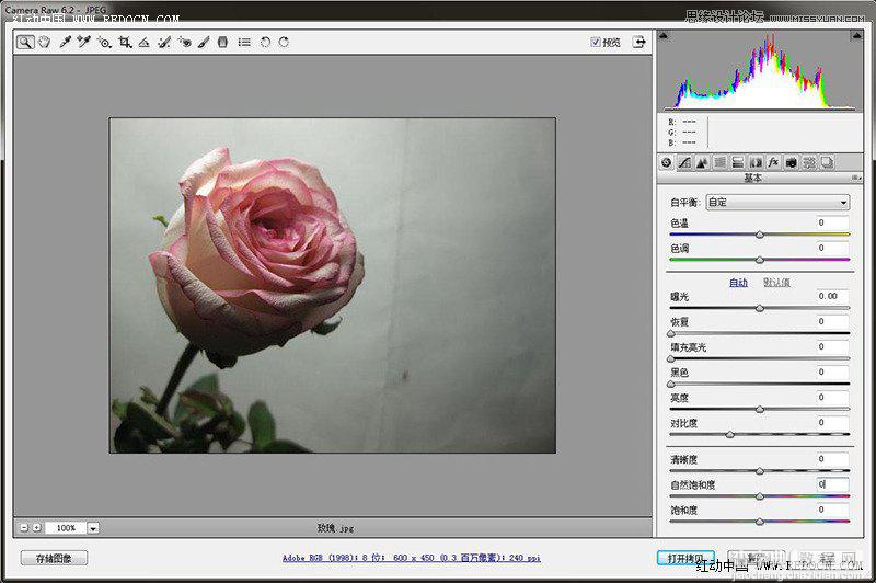 Photoshop利用Camera Raw和HDR动态渲染滤镜调出柔美清新的粉色玫瑰4