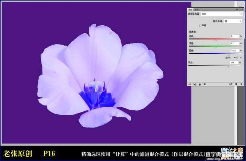 Photoshop通过计算命令无限改变花的颜色图文教程16