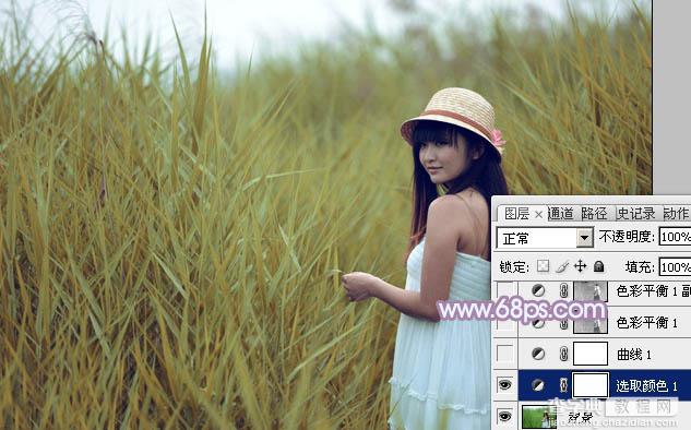 Photoshop将芦苇美女图片打造唯美的秋季冷色蓝紫色6