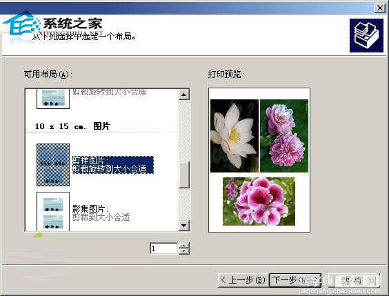 WinXP使用图片和传真查看器功能在一张纸上打印多幅图片3
