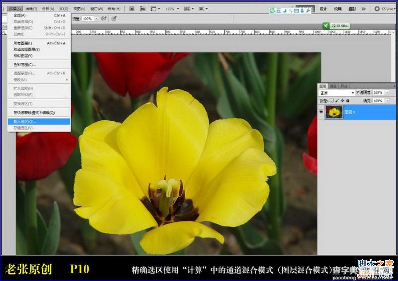 Photoshop通过计算命令无限改变花的颜色图文教程10