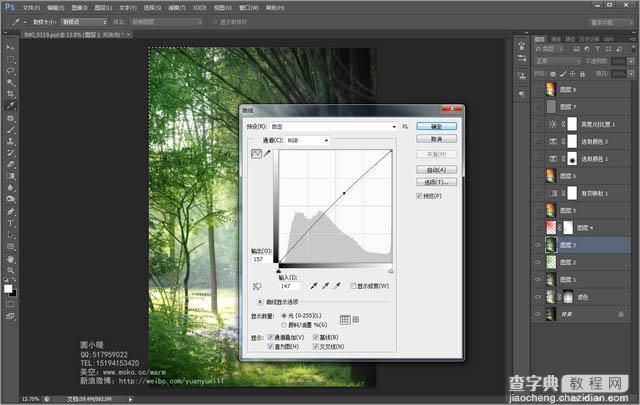 Photoshop为偏暗的树林婚片增加灿烂的阳光色彩6