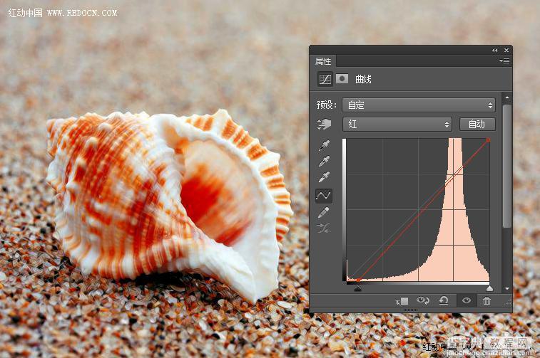 Photoshop调出诗意的沙滩贝壳15