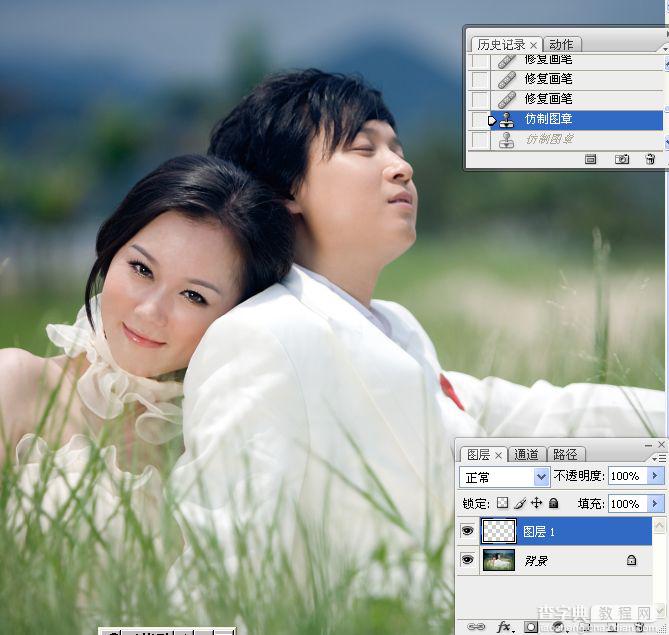 Photoshop将草丛中的婚片打造出浪漫的暗调蓝紫色效果3
