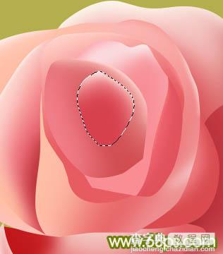 Photoshop设计制作一朵的粉嫩的玫瑰花31
