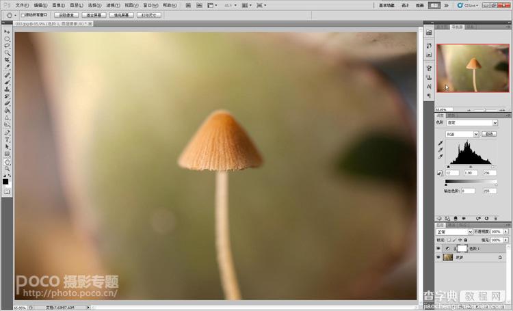 photoshop打造出唯美梦幻的微距生态摄影图片教程3