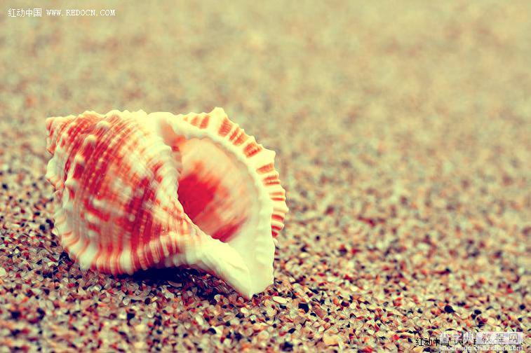 Photoshop调出诗意的沙滩贝壳21
