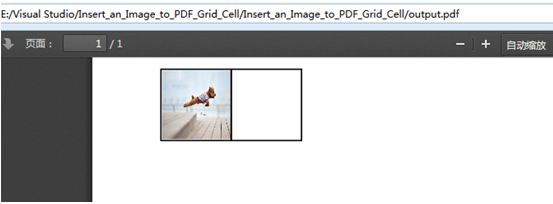 C#中创建PDF网格并插入图片的方法1