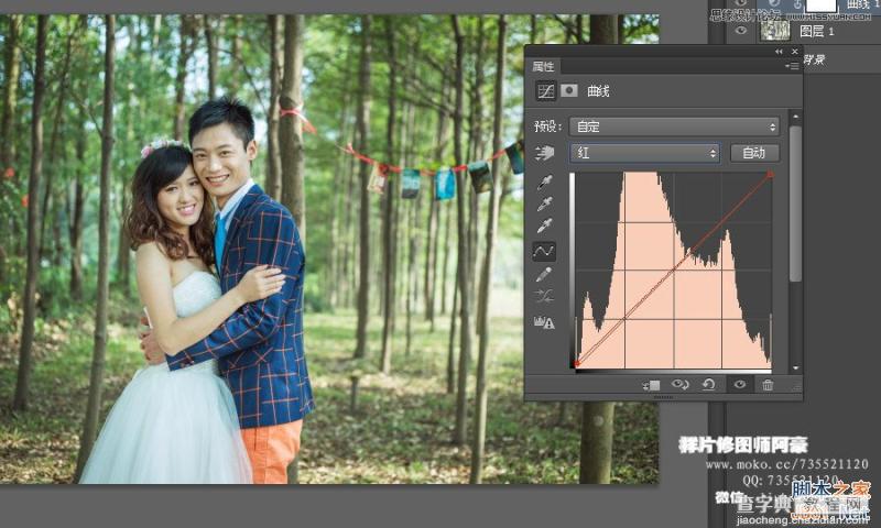 Photoshop给树林中外景婚片后期调出小清新色调8