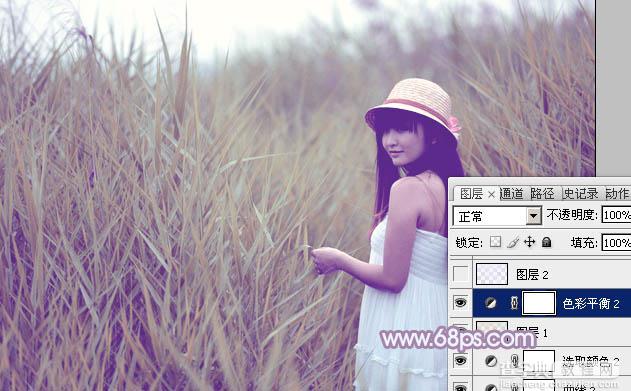 Photoshop将芦苇美女图片打造唯美的秋季冷色蓝紫色27