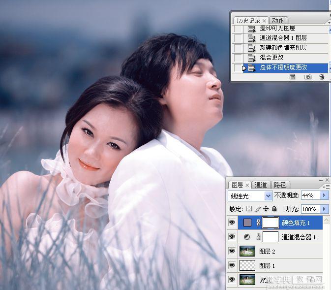 Photoshop将草丛中的婚片打造出浪漫的暗调蓝紫色效果8