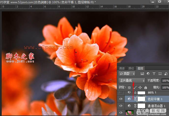 Photoshop将花卉特写图片打造具有古典韵味的黄褐色效果9
