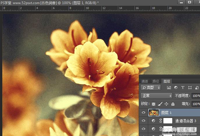 Photoshop将花卉特写图片打造具有古典韵味的黄褐色效果24
