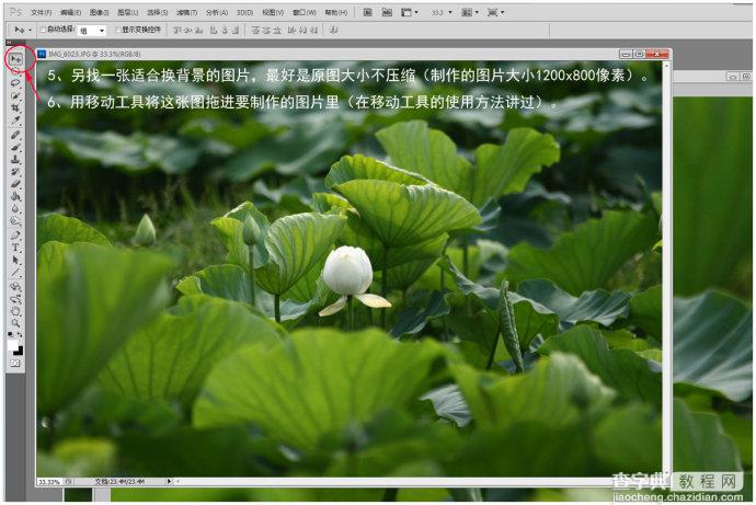 Photoshop为荷花图片简单虚化背景突出主体7