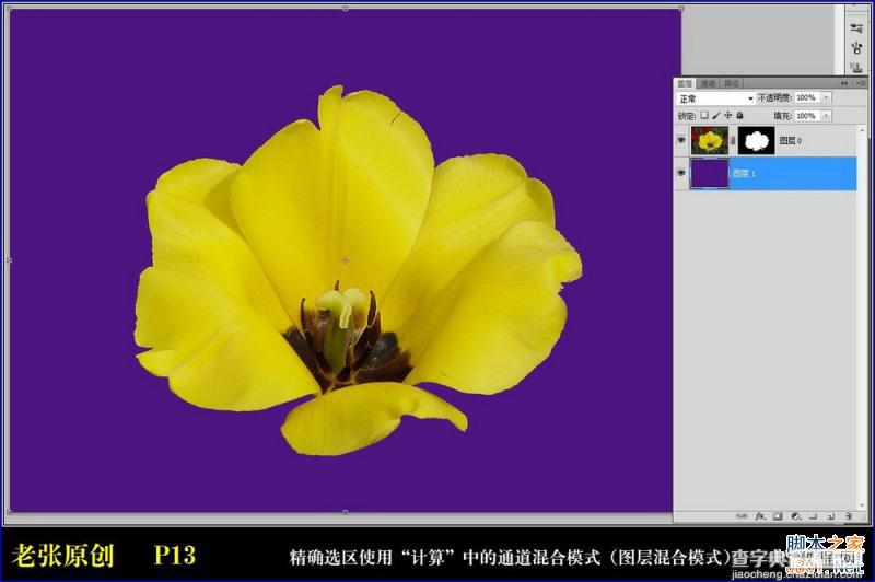 Photoshop通过计算命令无限改变花的颜色图文教程13