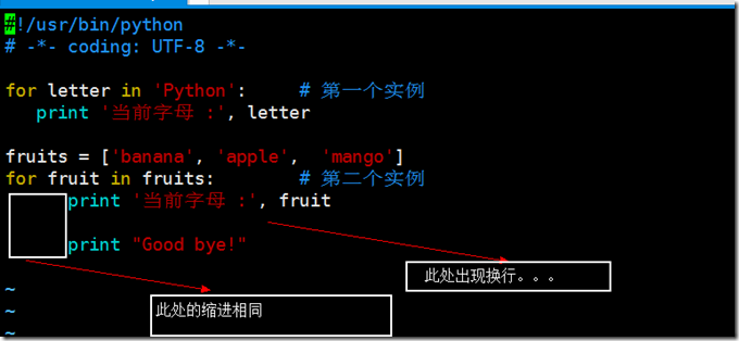 python语言使用技巧分享5