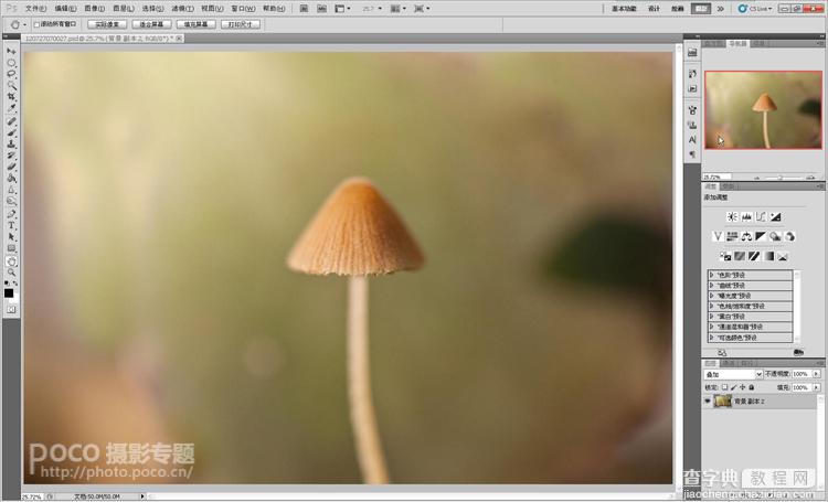 photoshop打造出唯美梦幻的微距生态摄影图片教程5