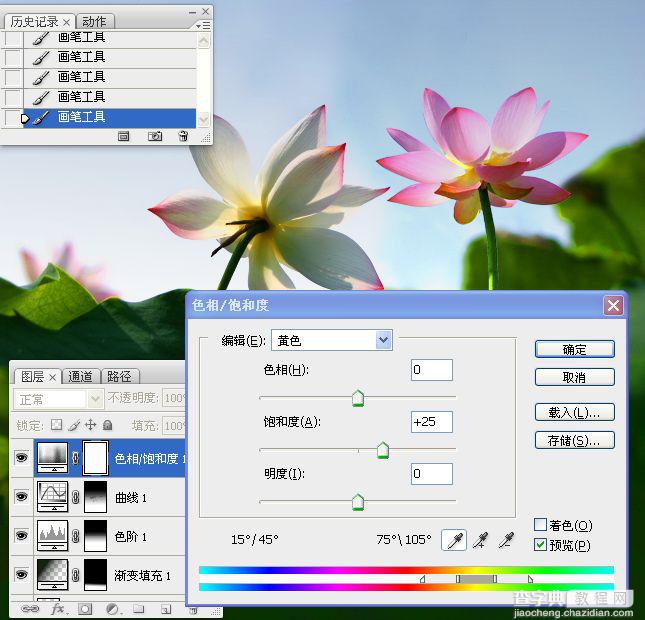 photoshop合成制作蓝天下清爽的荷花美图29