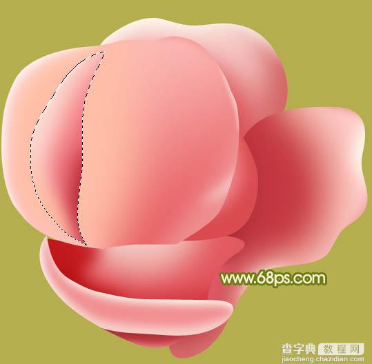 Photoshop设计制作一朵的粉嫩的玫瑰花27