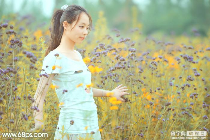 Photoshop为野花中的美女加上小清新的粉黄色2
