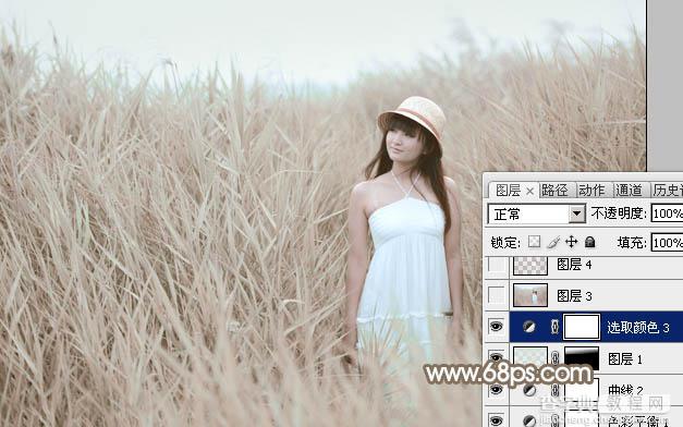 Photoshop为芦苇中的美女加上柔和的古典冷调粉褐色26