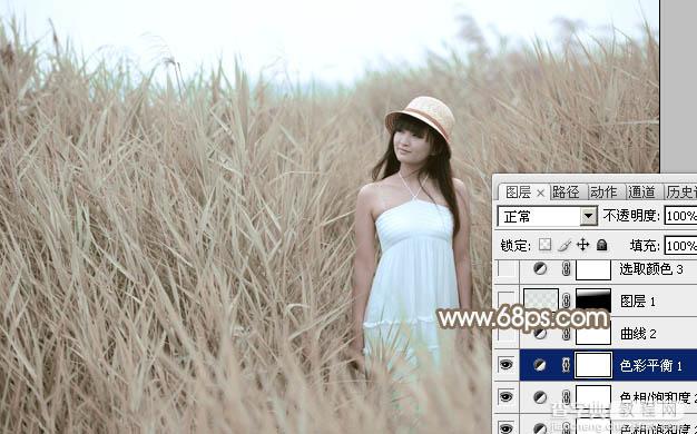 Photoshop为芦苇中的美女加上柔和的古典冷调粉褐色19