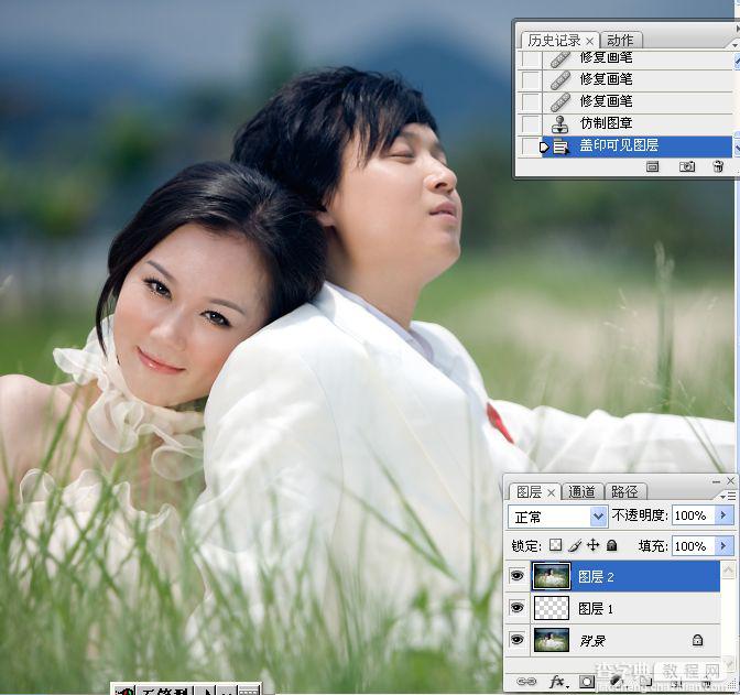 Photoshop将草丛中的婚片打造出浪漫的暗调蓝紫色效果4