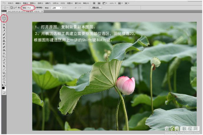 Photoshop为荷花图片简单虚化背景突出主体3