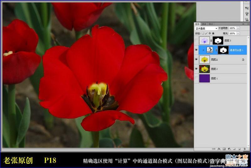Photoshop通过计算命令无限改变花的颜色图文教程18