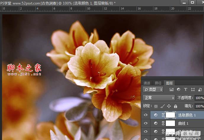 Photoshop将花卉特写图片打造具有古典韵味的黄褐色效果14
