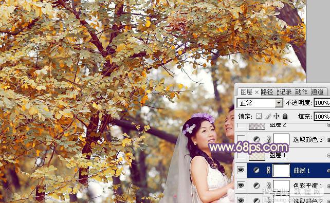 Photoshop为树林婚片调制出浓郁的秋季色18