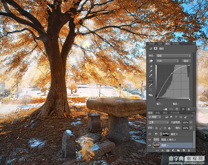 使用Photoshop滤镜制作唯美太阳光效果的大树照片7